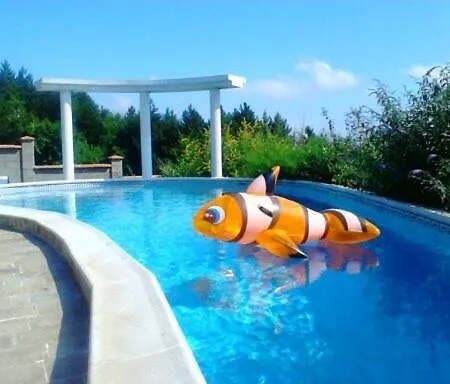 Sky Music 빌라 오브조르