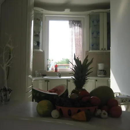 Sky Music 오브조르