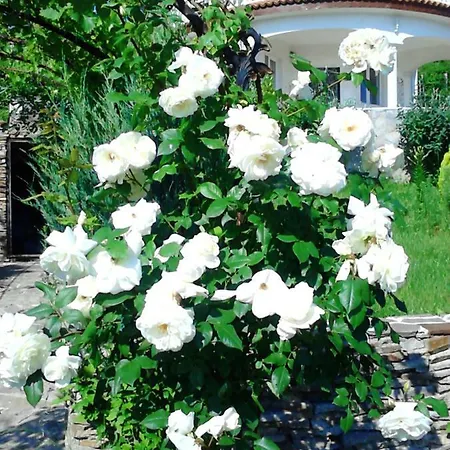 Sky Music Villa Obzor