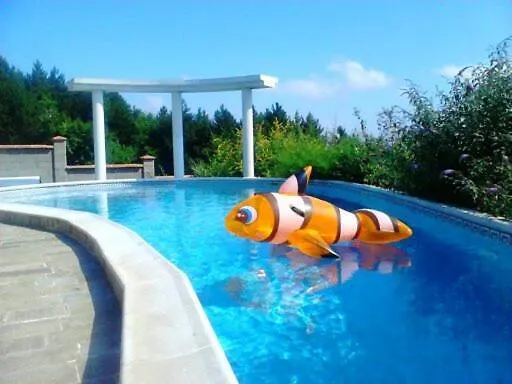 Sky Music Willa Obzor