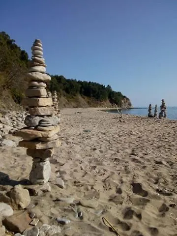 Willa Sky Music Obzor